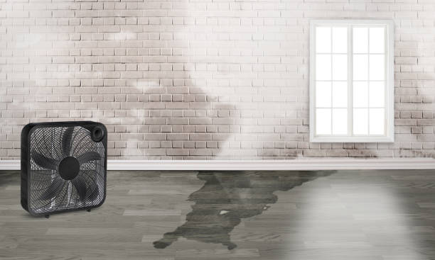 Best Water damage restoration insurance claims  in Burleson, TX