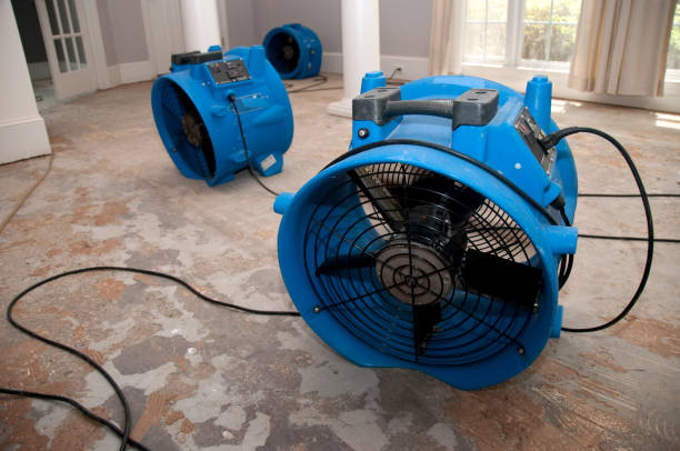 Best Fire Damage Restoration  in Burleson, TX